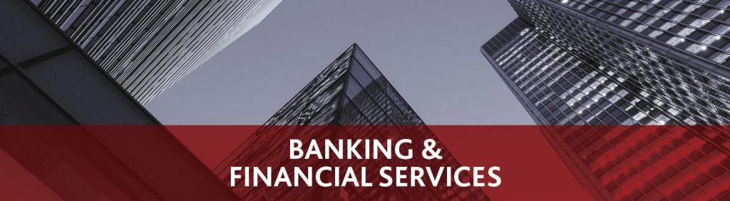 Banking Services – Plate Ltd